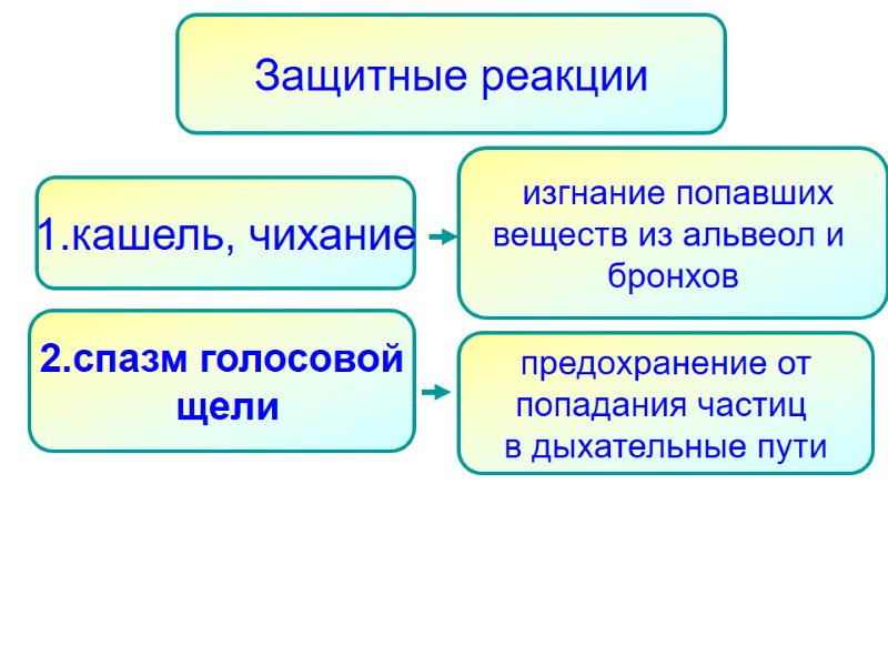 Защитные реакции   изгнание попавших веществ из альвеол и  бронхов 1.кашель, чихание